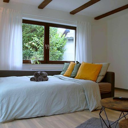 Studio-Apartment Mit Garten, Parkplatz & Kueche Offenburg Exteriér fotografie