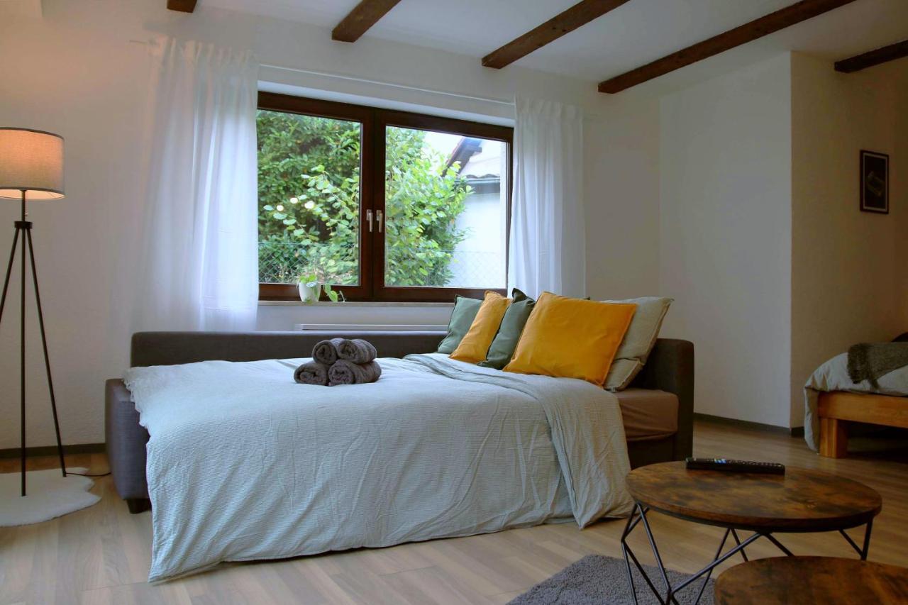 Studio-Apartment Mit Garten, Parkplatz & Kueche Offenburg Exteriér fotografie